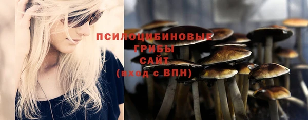 гидра Строитель