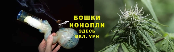 молекула духа Струнино