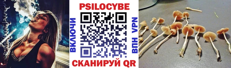 Галлюциногенные грибы Psilocybine cubensis маркетплейс Telegram Чишмы где найти